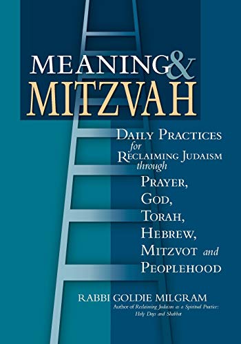 Meaning & Mitzvah Daily Practices for Reclaiming Judaism through Prayer, Go [Paperback]