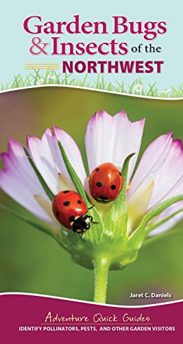 Garden Bugs & Insects of the Northwest Identify Pollinators, Pests, and Oth [Spiral bound]