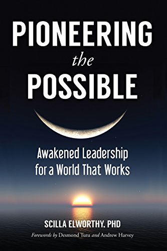Pioneering the Possible Awakened Leadership for a World That Works [Paperback]