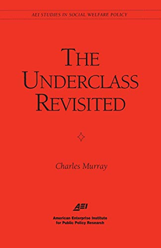 The Underclass Revisited [Paperback]