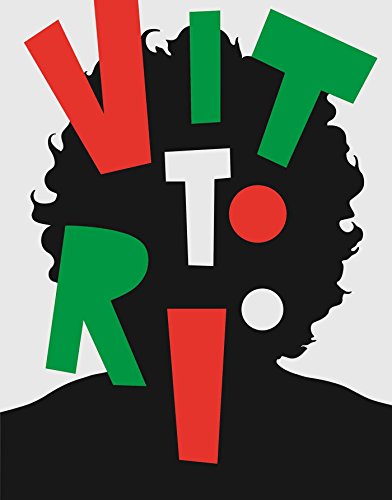 Through the Eyes of Vittorio [Hardcover]