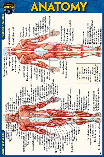 Anatomy Pocket-Sized Reference Guide (4x6 inches) [Fold-out book or cha]