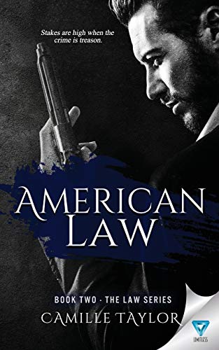 American Law (law Series ) (volume 2) [Paperback]