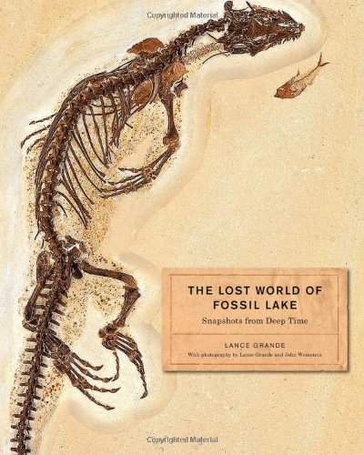 The Lost World of Fossil Lake Snapshots from Deep Time [Hardcover]