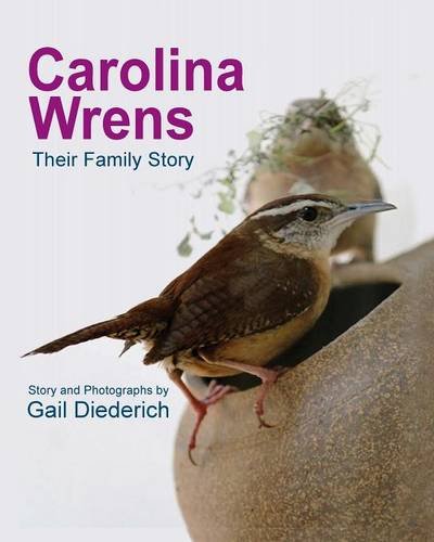Carolina Wrens Their Family Story [Paperback]