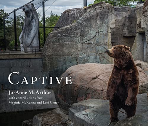 Captive [Paperback]