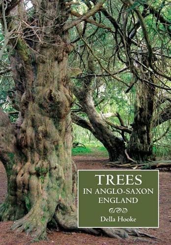 Trees in Anglo-Saxon England Literature, Lore and Landscape [Paperback]