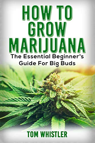 Marijuana  How to Grow Marijuana - the Essential Beginner's Guide for Big Buds [Paperback]