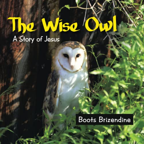 The Wise Owl [Paperback]