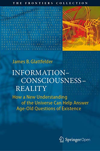 InformationConsciousnessReality How a New Understanding of the Universe Can H [Hardcover]