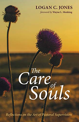 Care of Souls  Reflections on the Art of Pastoral Supervision [Paperback]