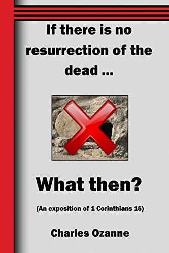 If There Is No Resurrection [Paperback]