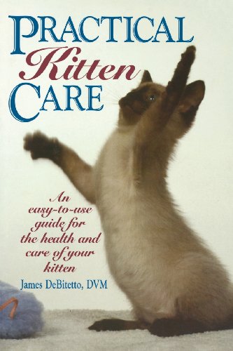 Practical Kitten Care [Paperback]