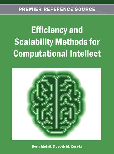 Efficiency And Scalability Methods For Computational Intellect [Hardcover]