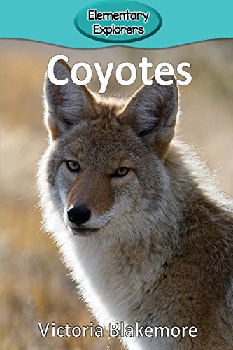 Coyote (elementary Explorers) [Paperback]