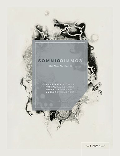 Somnio The Way We See It [Paperback]