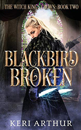 Blackbird Broken [Paperback]