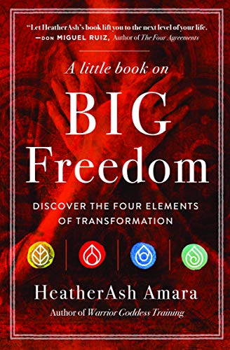 Little Book on Big Freedom  Discover the Four Elements of Transformation [Paperback]