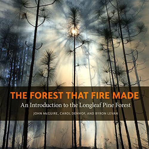 The Forest That Fire Made An Introduction to the Longleaf Pine Forest [Paperback]
