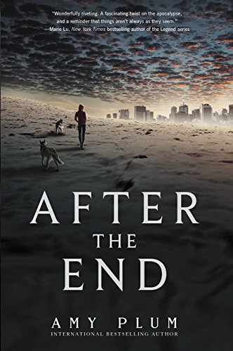 After the End [Paperback]