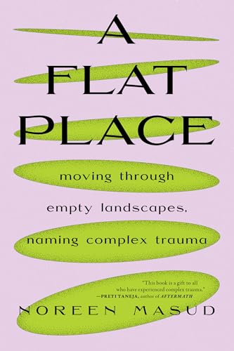 A Flat Place Moving Through Empty Landscapes, Naming Complex Trauma [Paperback]