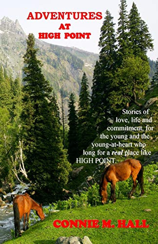 Adventures At High Point Short Stories About Life - The Way It Used To Be (volu [Paperback]