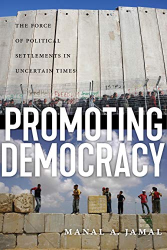 Promoting Democracy The Force of Political Settlements in Uncertain Times [Hardcover]