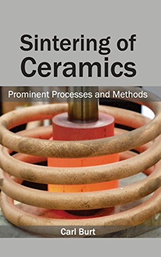 Sintering Of Ceramics Prominent Processes And Methods [Hardcover]