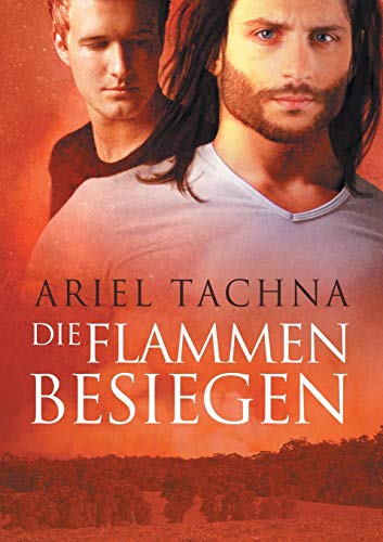 Flammen besiegen (Translation) [Paperback]