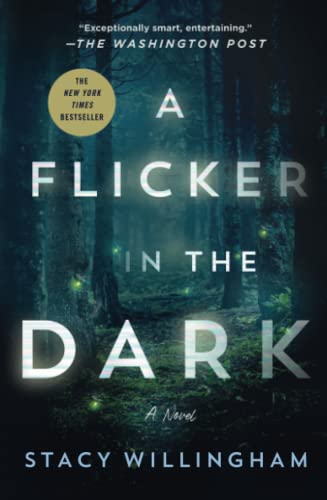 A Flicker in the Dark A Novel [Paperback]