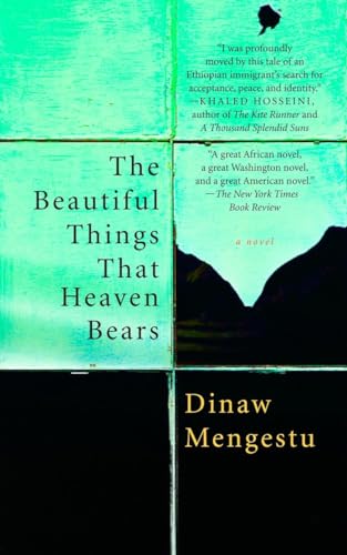 The Beautiful Things That Heaven Bears [Paperback]