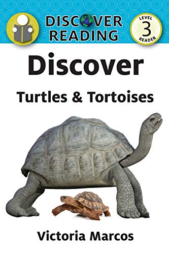 Turtles and Tortoises [Paperback]
