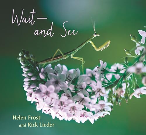 Wait and See [Hardcover]