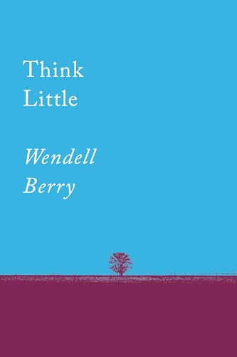 Think Little Essays [Paperback]