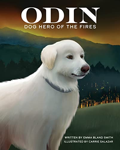 Odin, Dog Hero of the Fires [Paperback]
