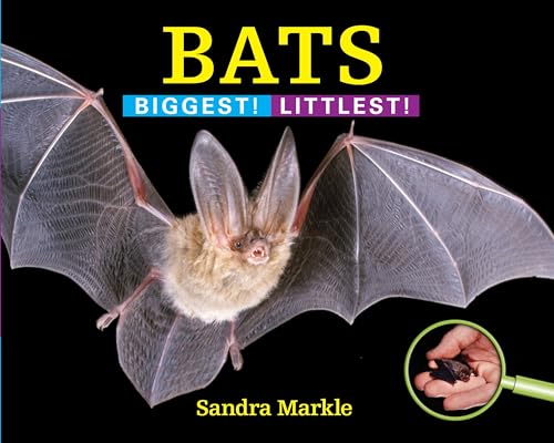 Bats Biggest Littlest [Hardcover]