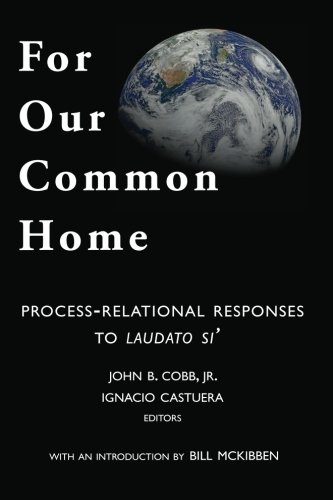 For Our Common Home Process-Relational Responses To Laudato Si' (toward Ecologi [Paperback]