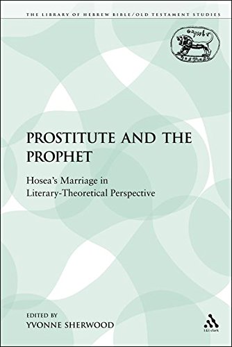The Prostitute and the Prophet Hosea's Marriage in Literary-Theoretical Perspec [Paperback]