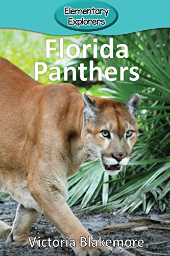 Florida Panthers (elementary Explorers) [Paperback]