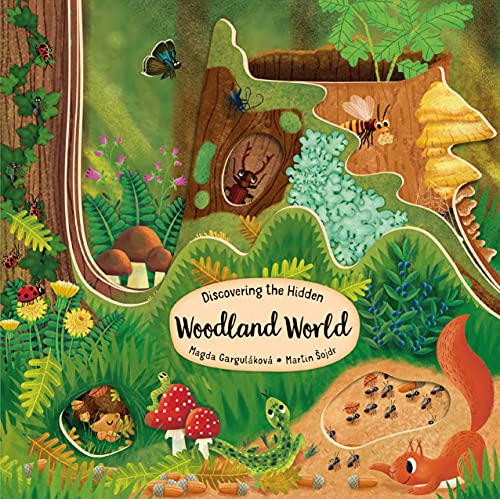 Discovering the Hidden Woodland World [Board book]