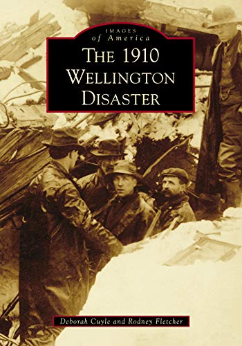 The 1910 Wellington Disaster [Paperback]