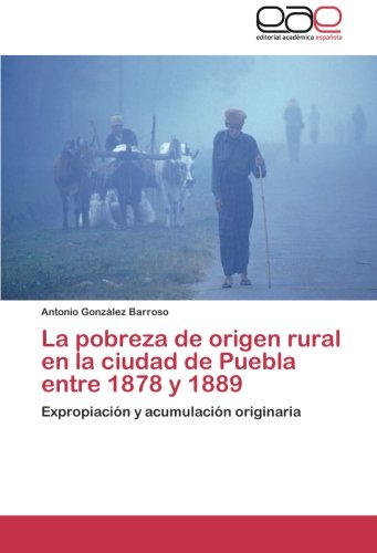 Pobreza de Origen Rural en la Ciudad de Puebla Entre 1878 Y 1889 [Paperback]