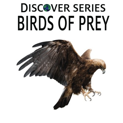 Birds Of Prey Discover Series Picture Book For Children [Paperback]