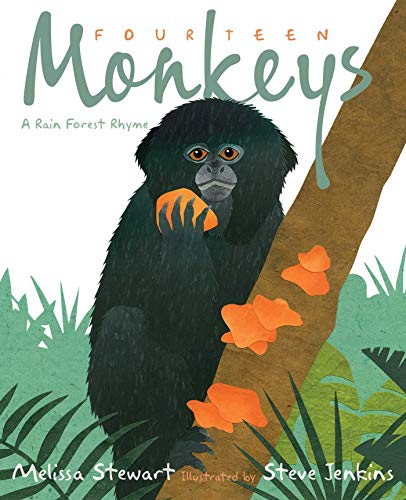 Fourteen Monkeys A Rain Forest Rhyme [Hardcover]