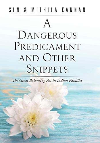 A Dangerous Predicament And Other Snippets The Great  Balancing Act In Indian F [Hardcover]