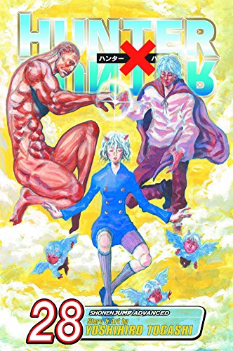 Hunter x Hunter, Vol. 28 [Paperback]