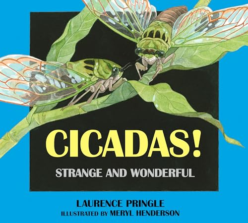 Cicadas Strange and Wonderful [Hardcover]