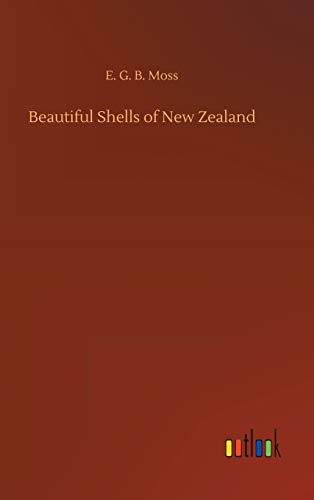 Beautiful Shells Of New Zealand