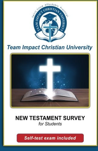 New Testament Survey For Students [Paperback]