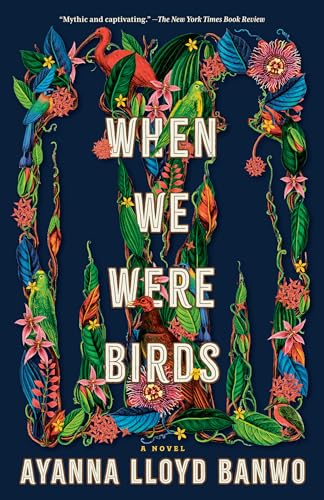When We Were Birds A Novel [Paperback]